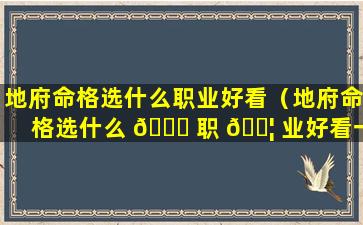 地府命格选什么职业好看（地府命格选什么 🕊 职 🐦 业好看一点）